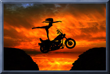 Hogs will fly