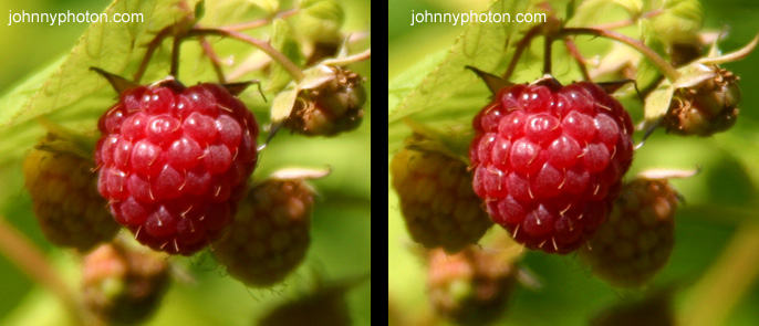 3D Raspberry