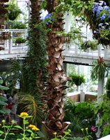 White River Gardens